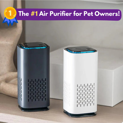 Pet Air Purifier